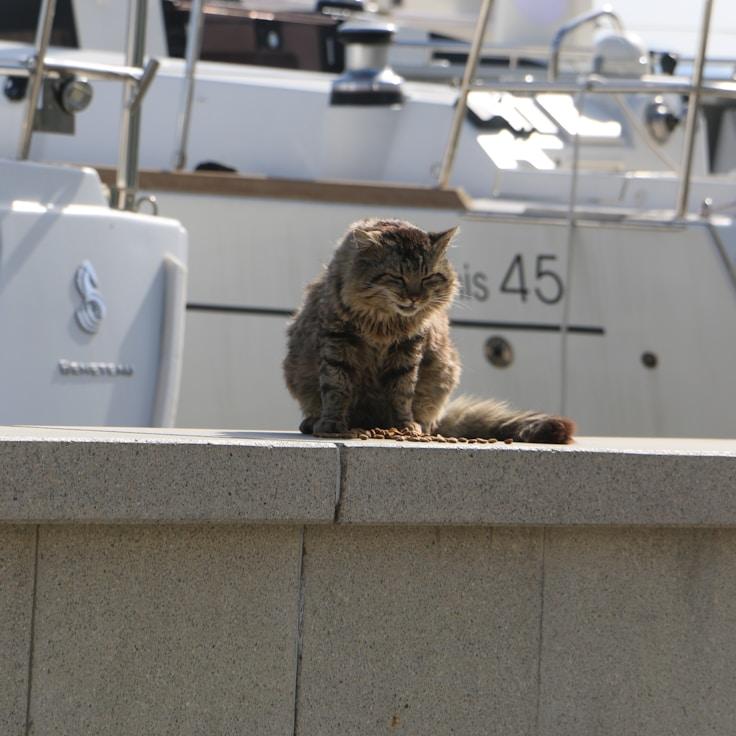 Sea adventure snapshot